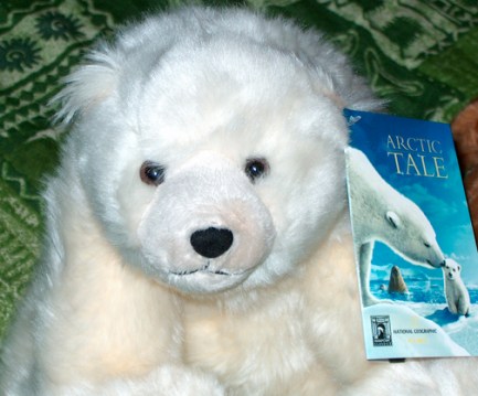 polar bear